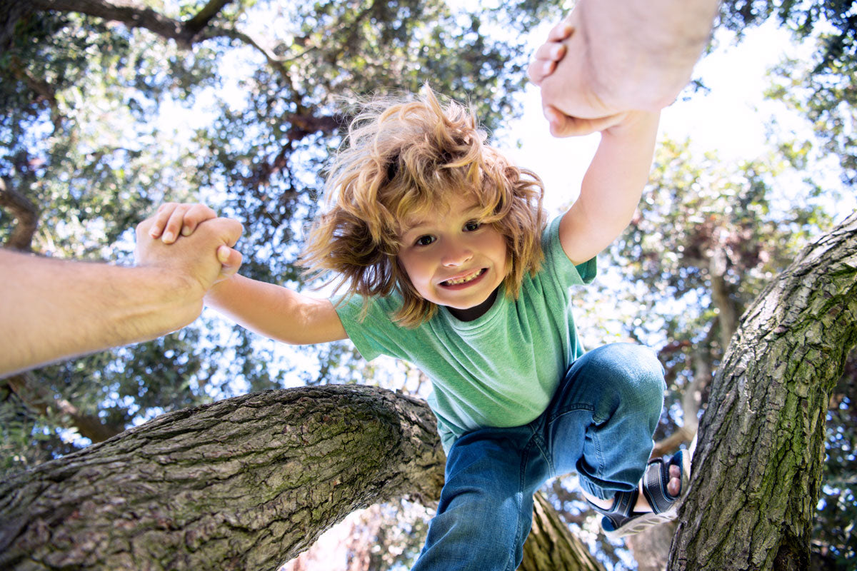 Cute child smiling widely jumping down from a tree being caught by a male adult