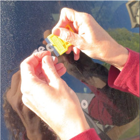 Cheeky Pebble decal removal instructional video