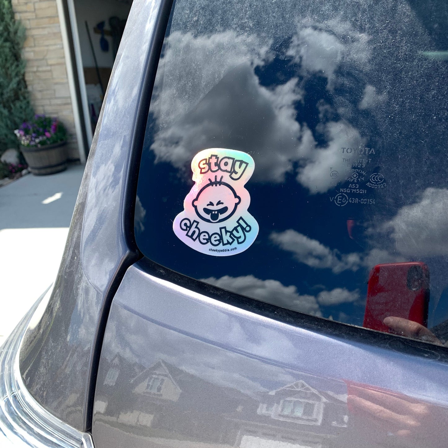 Stay Cheeky Stickers